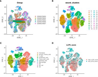 Single cell sequencing analysis and transcriptome analysis constructed the liquid-liquid phase separation(LLPS)-related prognostic model for endometrial cancer